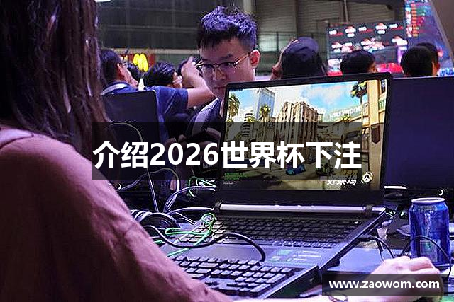介绍2026世界杯下注